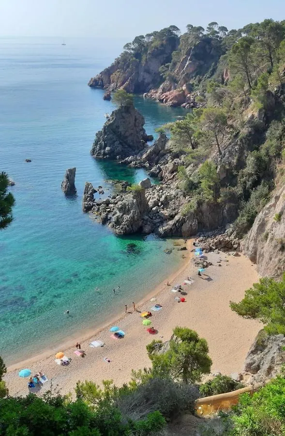 Appartement Tout Confort Avec Wifi Vue Sur Mer Et Piscine Communautaire Secteur El Golfet A Callela De 팔라프루헬 0*,